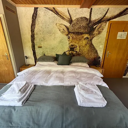 Familiehotel La Randulina Han/Misafirhane Ramosch