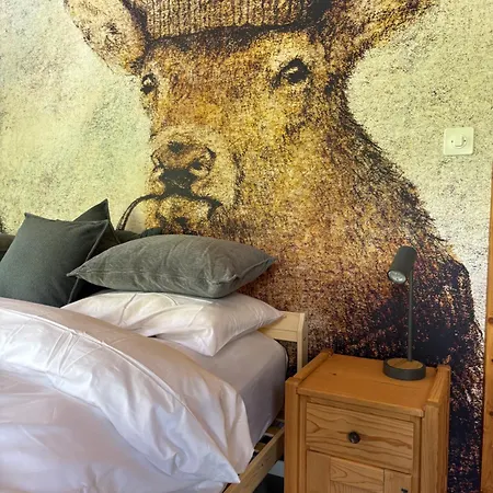 Familiehotel La Randulina אורחן