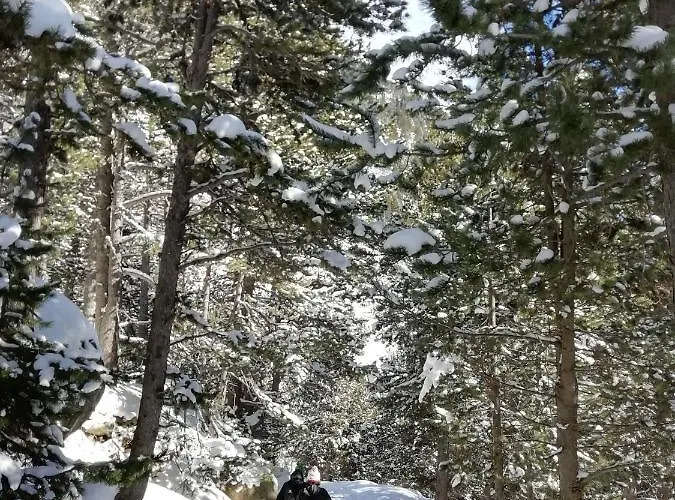 Familiehotel La Randulina Herberg *